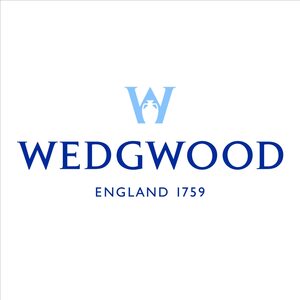 Wedgwood Gio Mok 0,3 liter (online) kopen | OnlineServies.nl