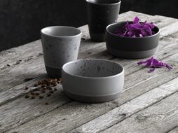 Echt Scandinavisch servies (online) kopen? | OnlineServies.nl de Expert